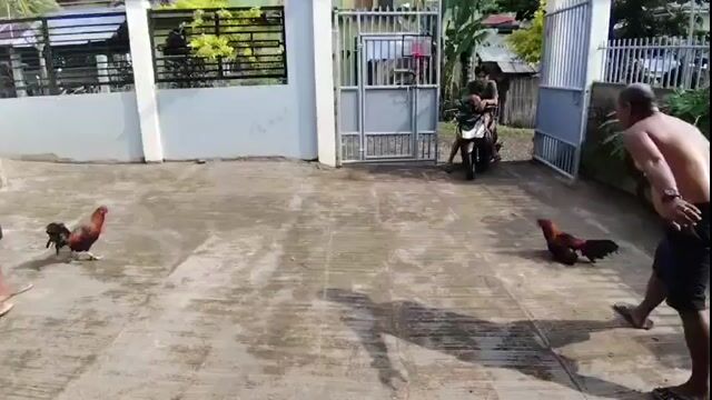 Video from Lyndon Marabe's post