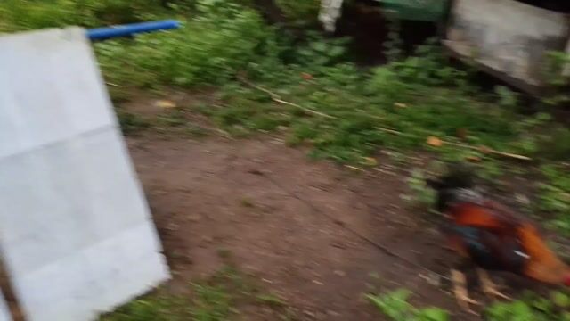 Video from Mon's post