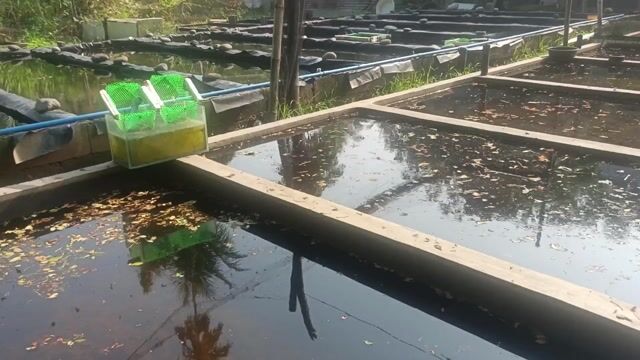 Video from Boding Depalubos's post