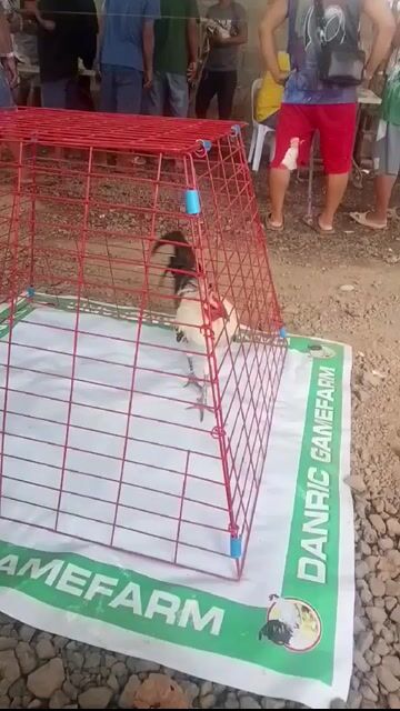 Video from DanLig’s Warriors's post