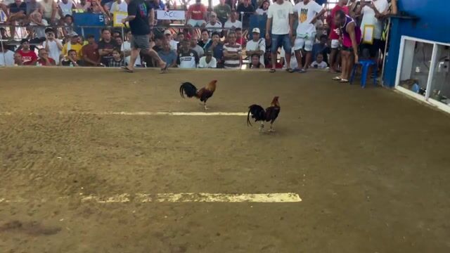 Video from Angat Sarado's post