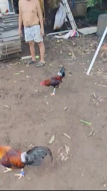 Video from Edwin Esteves's post