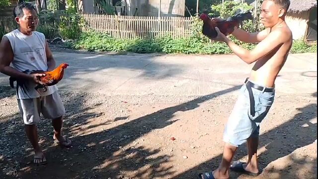 Video from SB.Jco Backyard's post
