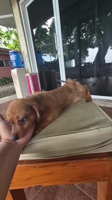 Video from Jessie S Campomanes's post