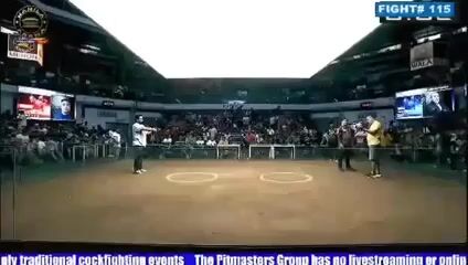 Video from Paolo Abundo's post
