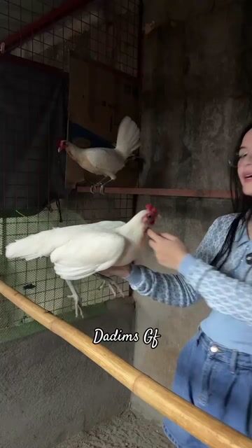 Video from Roy Janrick Dimas's post
