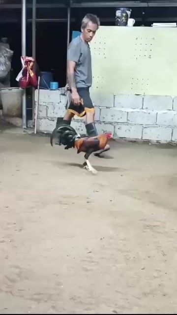Video from Paulino Ibarra Lozano's post