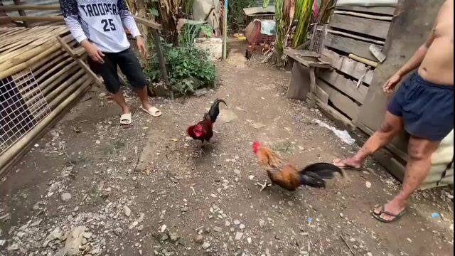 Video from Jokjok Gameyard's post