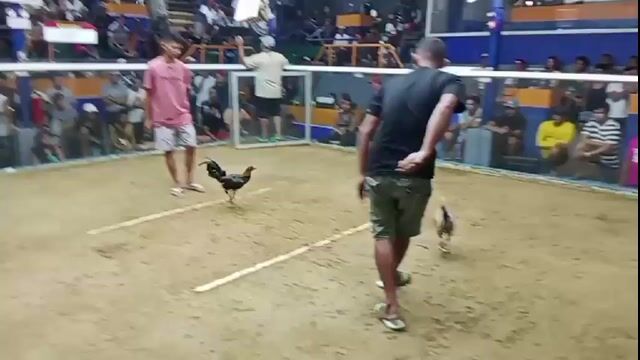 Video from QuEdDaMe Gf's post