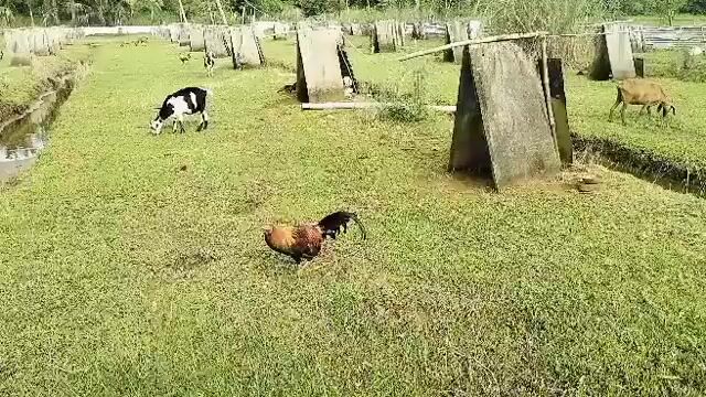 Video from Jowen M. Ramos's post