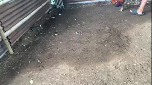 Video from alan solis's post