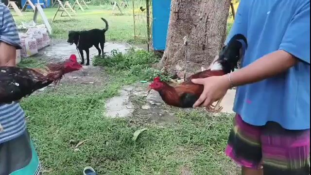 Video from Beerbogsgf's post
