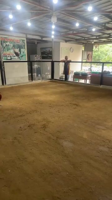 Video from kim antonio's post