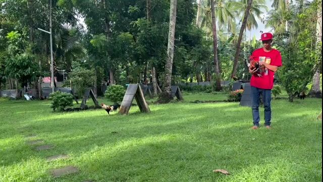 Video from Kim Bueno's post