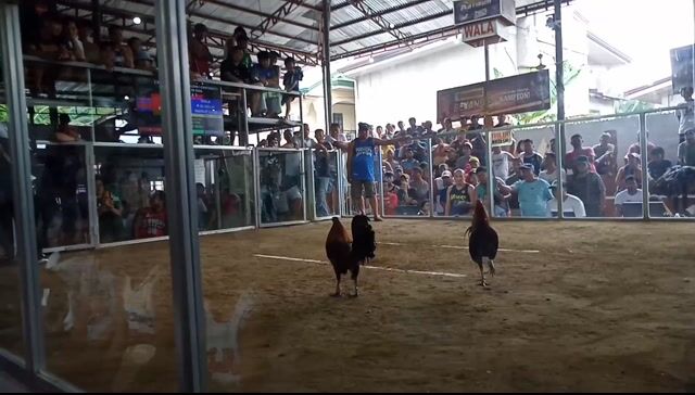 Video from Rule Navasquez's post