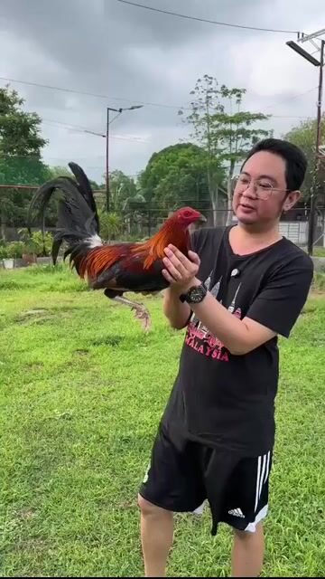 Video from Don F Farm's post