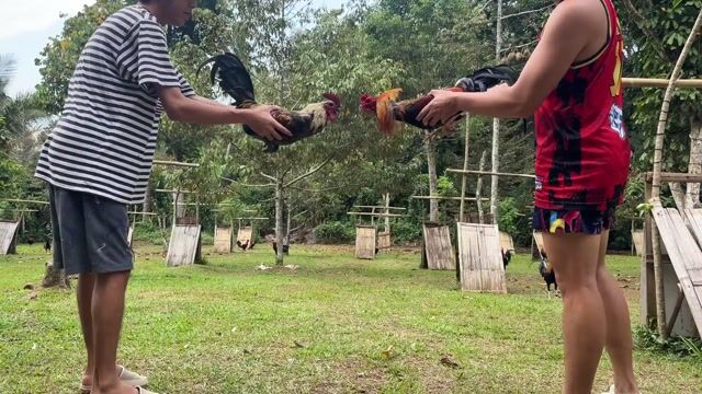 Video from Adrian Soliman's post