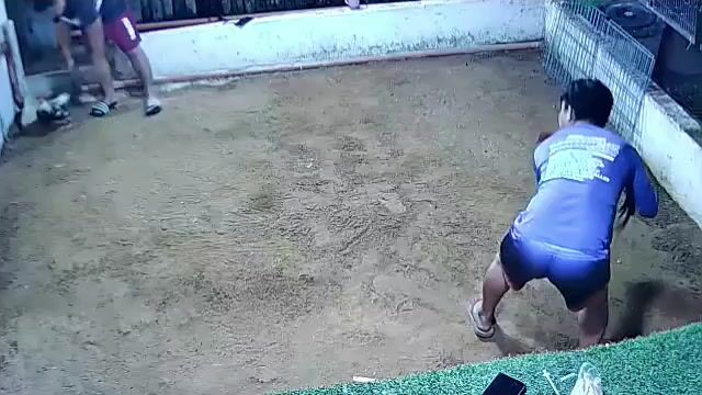 Video from Golders Green Gamefarm's post