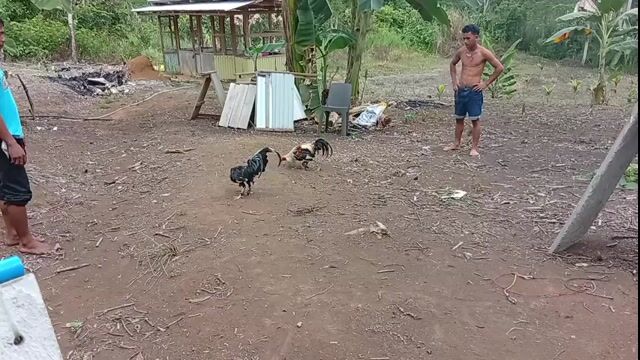 Video from M246 Jade GF's post