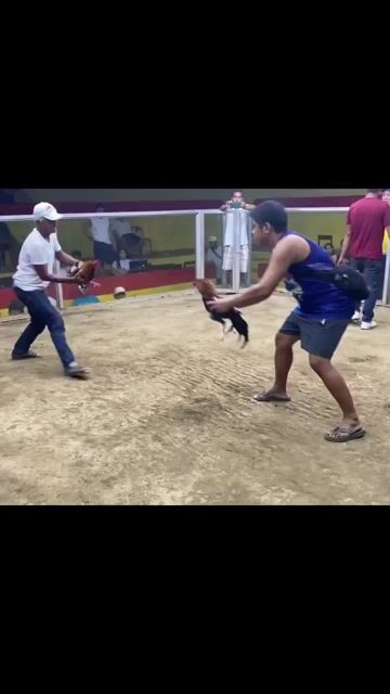 Video from JT Red Dragon Gamefarm's post