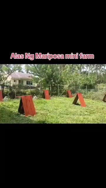 Video from Alas Ng Mariposa gf's post