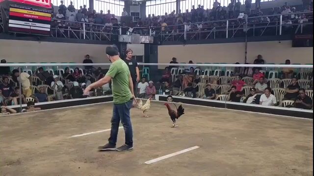 Video from JACKAL BLACK's post
