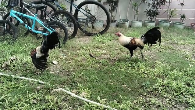 Video from JMI Kanaway's post
