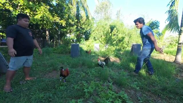 Video from Renzo's post
