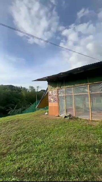 Video from Queensland Gamefarm's post