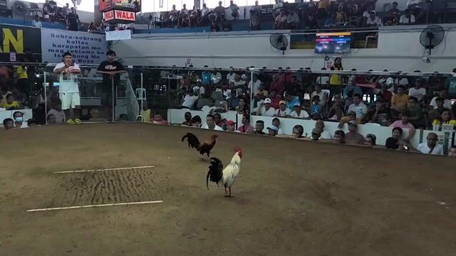 Video from Chrischen Colin Saagundo's post