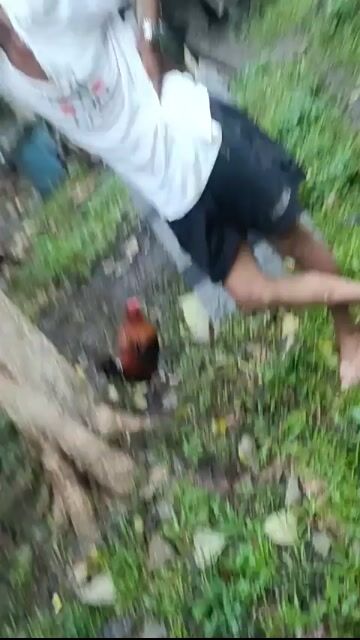 Video from Bryan Kim Sabareza's post