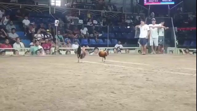 Video from Blackbeak Uy's post