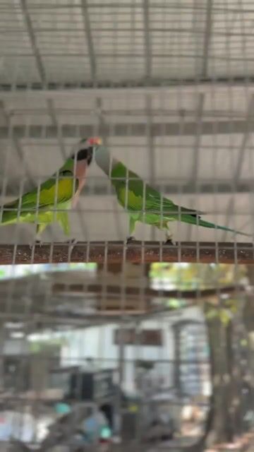 Video from Eugene Herrera's post