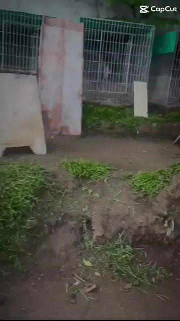 Video from Calvin Haresco's post