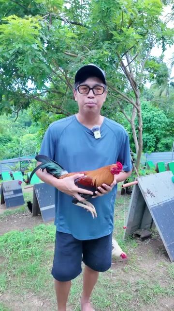 Video from Marvin A.'s post