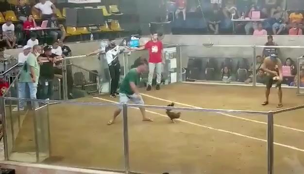 Video from Robert Herrera's post