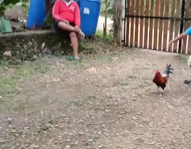 Video from Dennis Bique's post