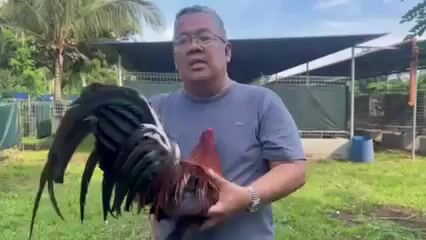Video from Ninong Arth Canlas's post