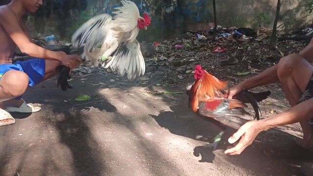 Video from Blackbeak Uy's post