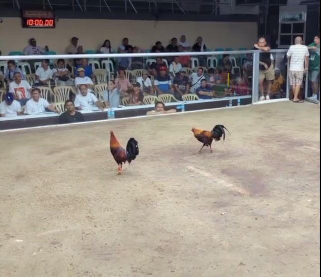 Video from Adrian Soliman's post