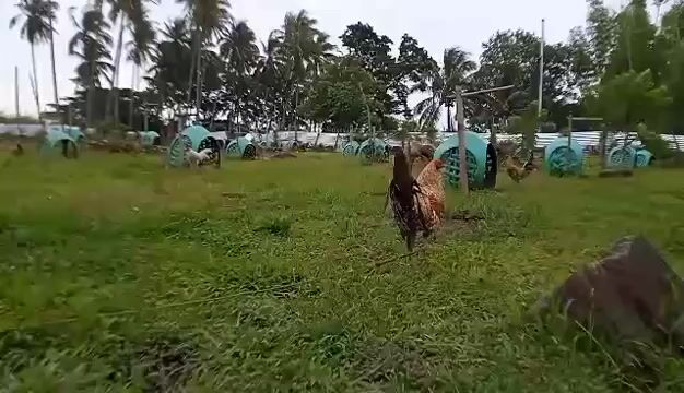 Video from Jun Wayne Faburada's post