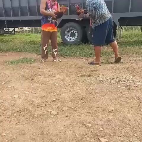 Video from islaw gamefarm's post