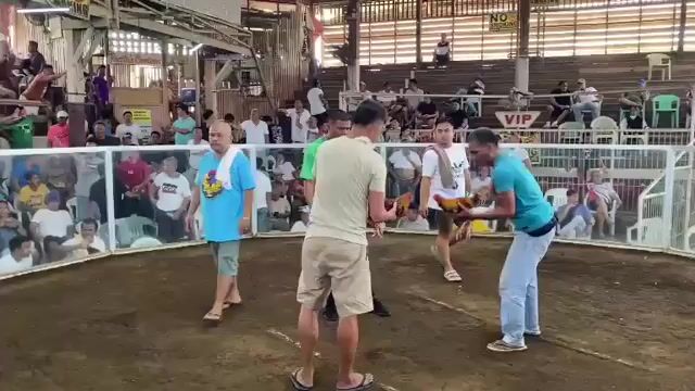 Video from EDU VELASCO's post