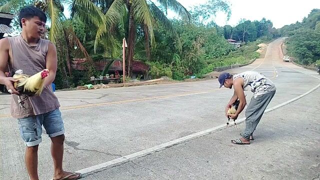 Video from Jp Flores's post