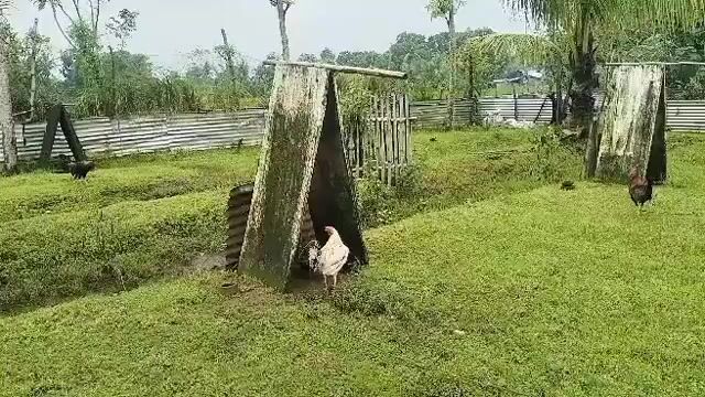 Video from Jowen M. Ramos's post