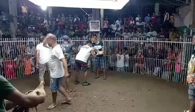 Video from Ronald Bantolinao's post