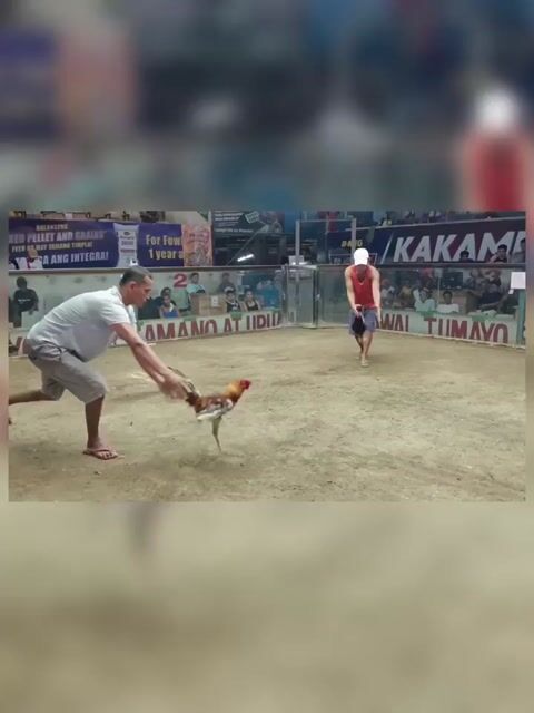 Video from JCO Gamefarm's post