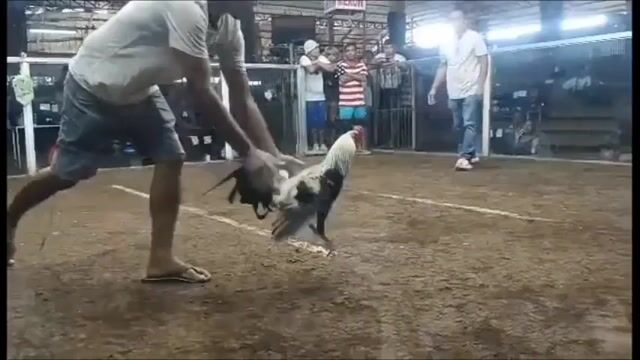 Video from Vicerra Village XY GF's post