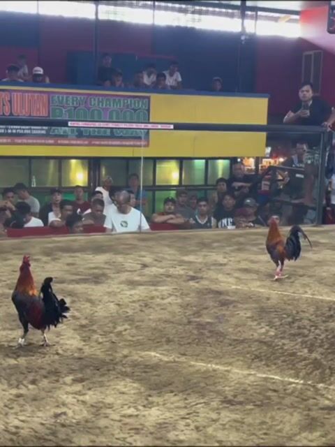 Video from JAM GF's post