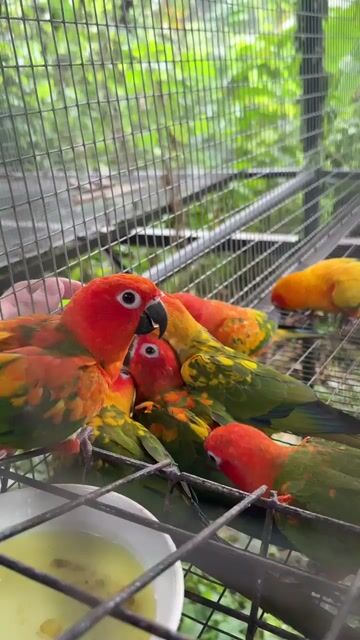 Video from Eugene Herrera's post